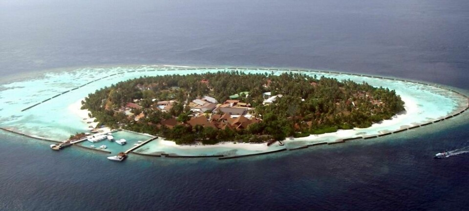 En øy i Maldivene med et tydelig korallrev rundt. (Foto: PalawanOz)