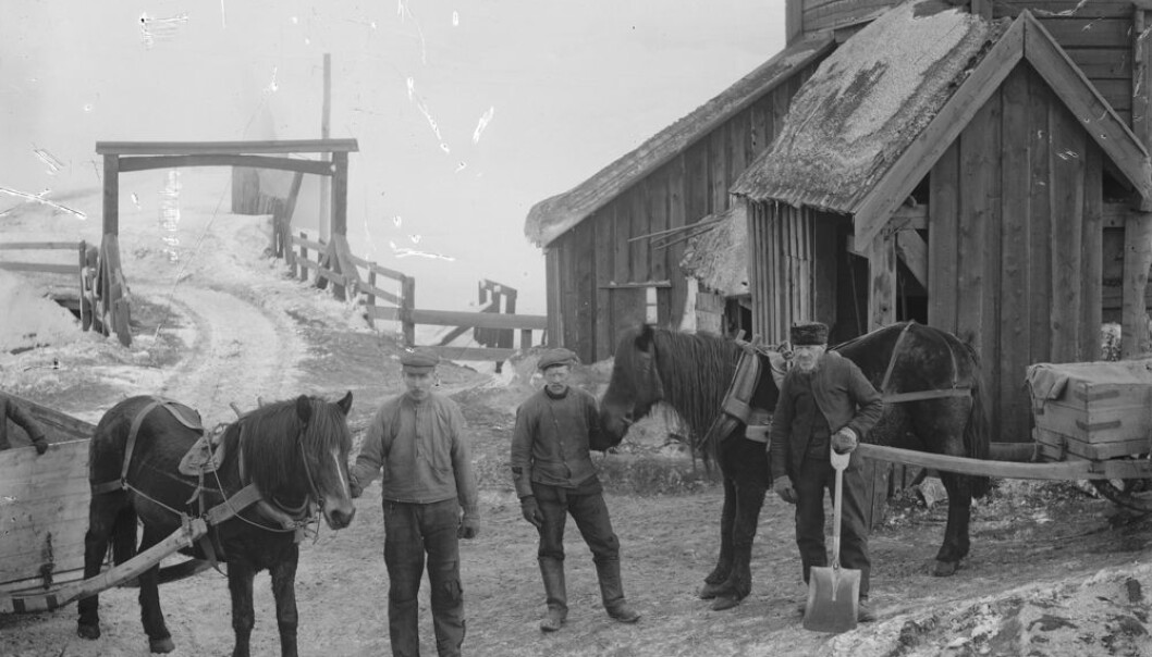 Malmkjørere kjørte kobberet med hest og vogn fra Røros til Trondheim om sommeren og med slede på vinteren. Kobberet som ble tatt ut og smeltet i bergstaden dro ofte langt ut i verden. Nå vet vi litt mer om hva det ble brukt til. (Foto: Rørosmuseet/DigitaltMuseum) Malmkjørere kjørte kobberet med hest og vogn fra Røros til Trondheim om sommeren og med slede på vinteren. Kobberet som ble tatt ut og smeltet i bergstaden dro ofte langt ut i verden. Nå vet vi litt mer om hva det ble brukt til. (Foto: Rørosmuseet/DigitaltMuseum)