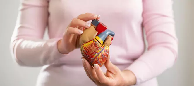 Seks ting alle kvinner bør vite om hjerteinfarkt