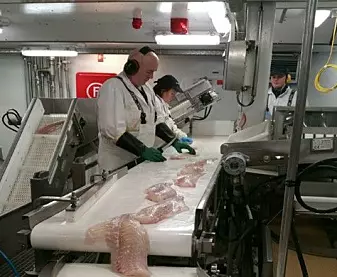 Vil produsere beinfrie fileter om bord i tråleren