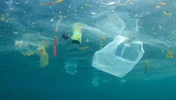 Mikroplasten synker til havets bunn