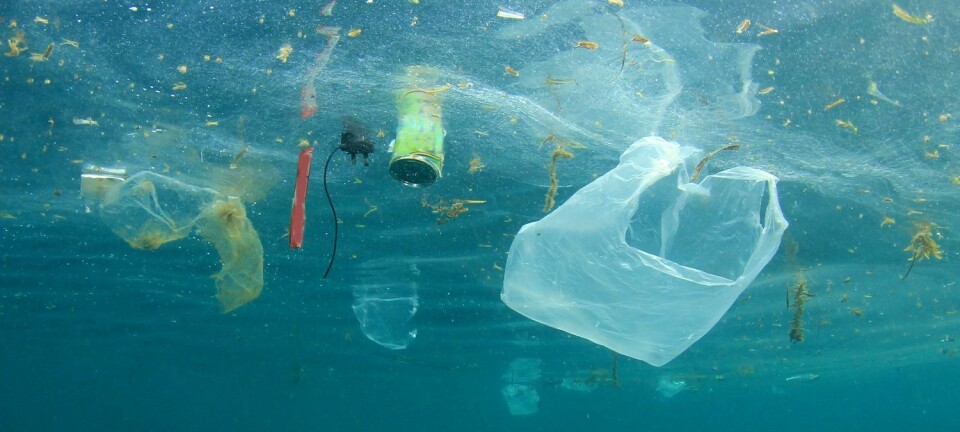 På oppdrag fra Miljødirektoratet har SINTEF beregnet hvordan plast i havet brytes ned til mikroplast og hvor bitene havner. (Foto: Rich Carey, Shutterstock, NTB scanpix)