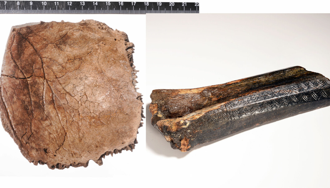 11 000 år gamle knokler funnet på bunnen av Nordsjøen