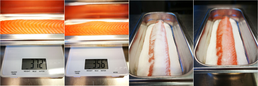<b>Før og etter salting:</b> Saltet (og sukkeret) trekker ut vann fra fisken, noe som virker konserverende og gir kjøttet en fastere konsistens. Denne fileten på 372 gram mistet 16 gram vann i løpet av tørrsaltingen på 30 minutter. (Foto: Guro Helgesdotter Rognså) <b>Før og etter salting:</b> Saltet (og sukkeret) trekker ut vann fra fisken, noe som virker konserverende og gir kjøttet en fastere konsistens. Denne fileten på 372 gram mistet 16 gram vann i løpet av tørrsaltingen på 30 minutter. (Foto: Guro Helgesdotter Rognså)