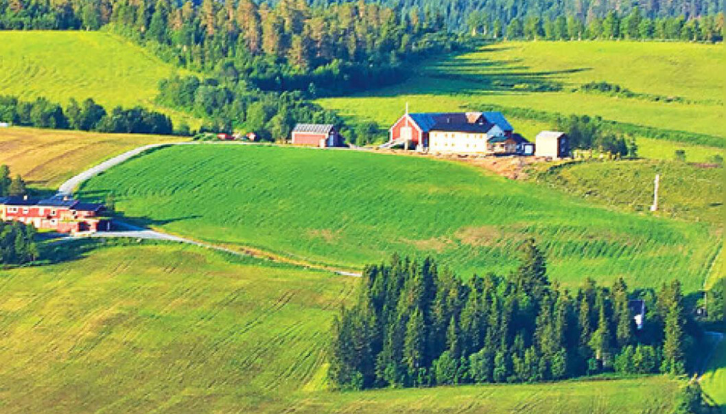 Landbrukets folk må delta i klimadugnaden og sjå klimaendringane som ein sjanse til å koma på offensiven i kampen om å forme framtida, meiner professor. (Foto: henta frå framsida av boka Klimasmart landbruk - Korleis kan norsk landbruk bidra til det grøne skiftet?) Landbrukets folk må delta i klimadugnaden og sjå klimaendringane som ein sjanse til å koma på offensiven i kampen om å forme framtida, meiner professor. (Foto: henta frå framsida av boka Klimasmart landbruk - Korleis kan norsk landbruk bidra til det grøne skiftet?)
