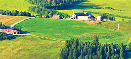 Korleis kan norsk landbruk bidra til det grøne skiftet?