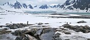 Når permafrosten smelter i Arktis, forsvinner kulturminnene