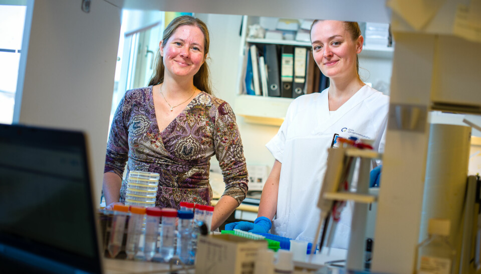 Forskerne Gunnveig Grødeland og Ane Marie Anderson har allerede testet den nye vaksinen på mus. (Foto: Øystein Horgmo)