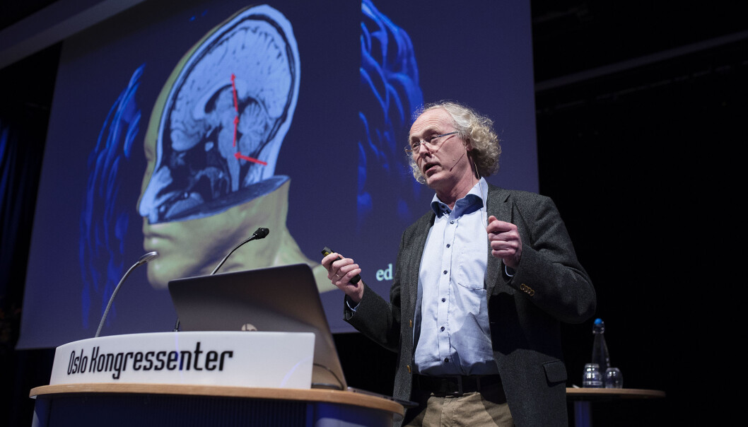 Synapsene i hjernen kan endres hele tiden, de er dynamiske. De blir mer effektive ved trening og læring. - Derfor er opptrening etter hjerneslag avgjørende for å gjenvinne førlighet, sa hjerneforsker Espen Dietrichs på et foredrag i regi av LHL. (Foto: Christopher Olssøn/LHL) Synapsene i hjernen kan endres hele tiden, de er dynamiske. De blir mer effektive ved trening og læring. - Derfor er opptrening etter hjerneslag avgjørende for å gjenvinne førlighet, sa hjerneforsker Espen Dietrichs på et foredrag i regi av LHL. (Foto: Christopher Olssøn/LHL)