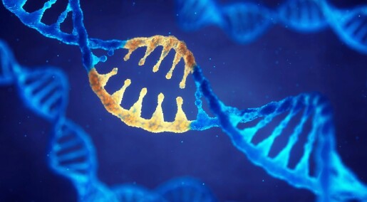 Forskere har gen-redigert bort årsaken til arvelig utviklingshemning