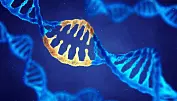 Forskere har gen-redigert bort årsaken til arvelig utviklingshemning