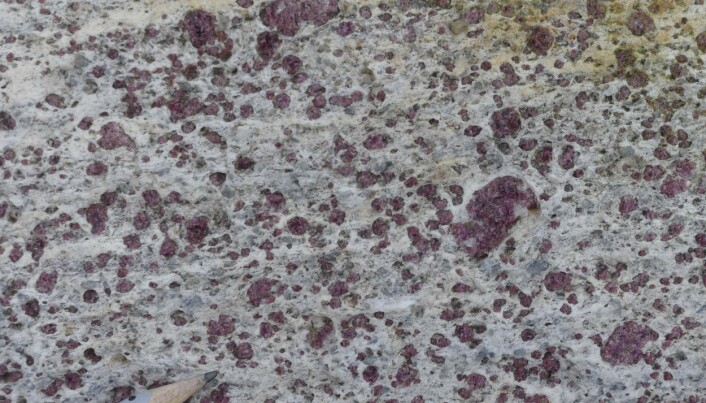Så forskjellig kan bergartene se ut! Granat er et karakteristisk mineral som er med på å danne vakre bergarter – her i gneis på Sunnmøre (Foto: Ane K. Engvik) Så forskjellig kan bergartene se ut! Granat er et karakteristisk mineral som er med på å danne vakre bergarter – her i gneis på Sunnmøre (Foto: Ane K. Engvik)