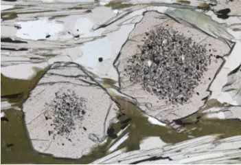 Granat under mikroskopet: De to store runde kornene er granat og opptrer med fine krystallflater. Kjernen av denne granaten har fått det grå støvete utseende fordi de er full av små inneslutninger av andre mineraler. (Foto: Ane K. Engvik)