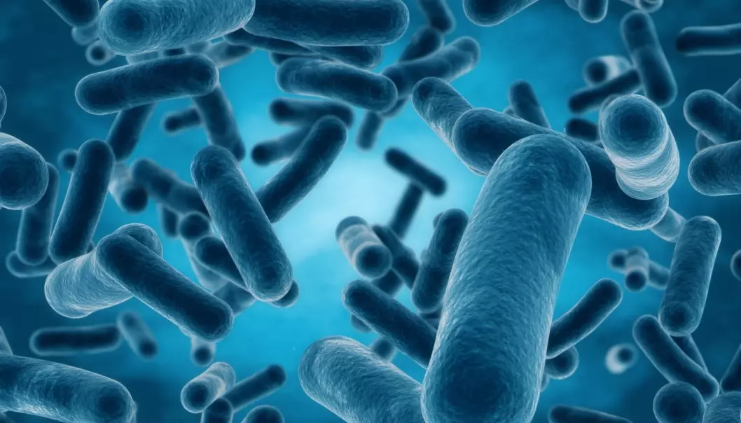 Kan vi bruke bakterienes egne triks for å bekjempe sykdom?