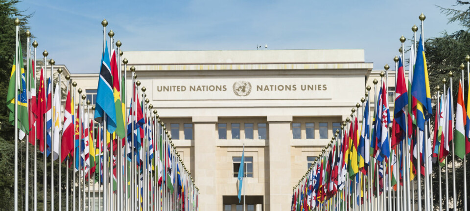 Er det egentlig mulig for deg som privatperson å saksøke FN? (Illustrasjonsfoto: Shutterstock / NTB Scanpix)