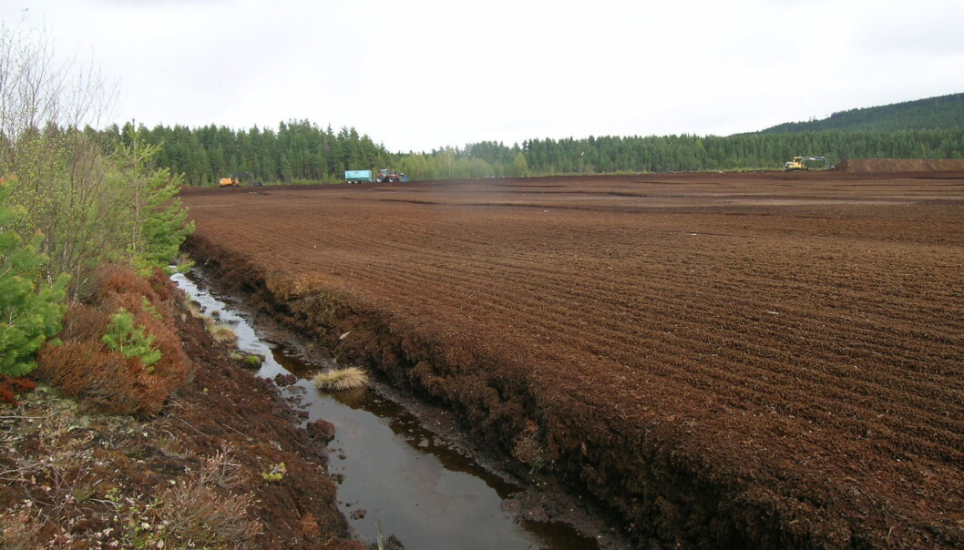 Torvuttak bør begrenses, men i dag finnes det ikke noen fullverdige erstatningsprodukter for torv i jordblandinger. (Foto: Reidun Aspmo) Torvuttak bør begrenses, men i dag finnes det ikke noen fullverdige erstatningsprodukter for torv i jordblandinger. (Foto: Reidun Aspmo)