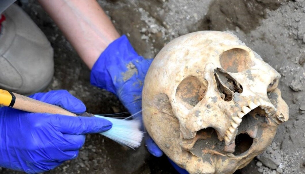 Denne hodeskallen dukket opp litt lenger ned i bakken der arkeologer nylig fant et toppløst skjelett. (Foto: Pompeii – Parco Archeologico) Denne hodeskallen dukket opp litt lenger ned i bakken der arkeologer nylig fant et toppløst skjelett. (Foto: Pompeii – Parco Archeologico)