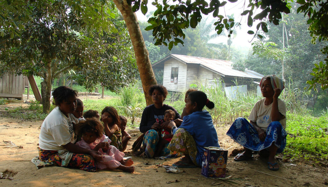 En liten gruppe snakker jedek i Malaysia. (Foto: Niclas Burenhult) En liten gruppe snakker jedek i Malaysia. (Foto: Niclas Burenhult)