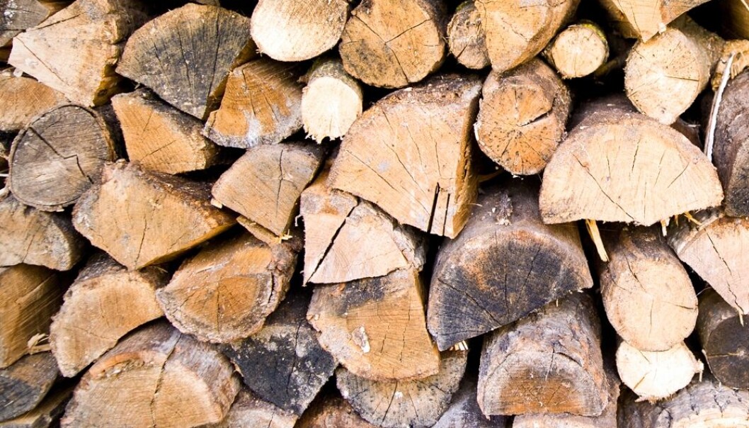Sørg for at veden er godt tørket. Veden tørker best om våren – da er luftfuktigheten lav og tørkingen skjer raskt. Og husk at størrelsen på kubbene er viktig for tørkingen. (Foto: Colourbox) Sørg for at veden er godt tørket. Veden tørker best om våren – da er luftfuktigheten lav og tørkingen skjer raskt. Og husk at størrelsen på kubbene er viktig for tørkingen. (Foto: Colourbox)