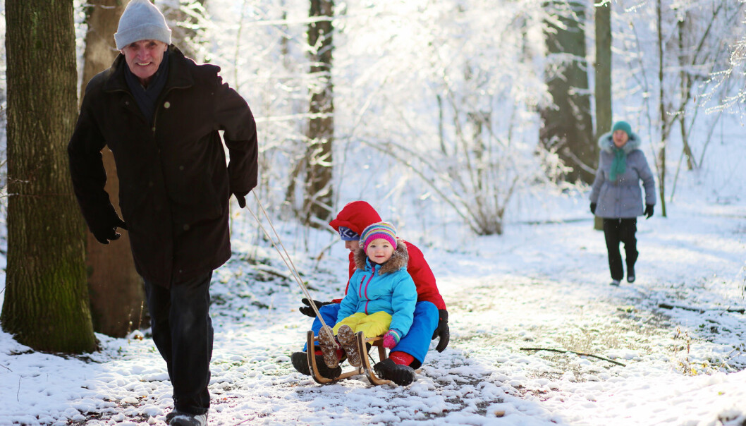 Ei form for frivillig innsats blant eldre er å passe barnebarna. Men må slike aktivitetar vike for lønna arbeid?  (Illustrasjonsfoto: Shutterstock / NTB Scanpix)