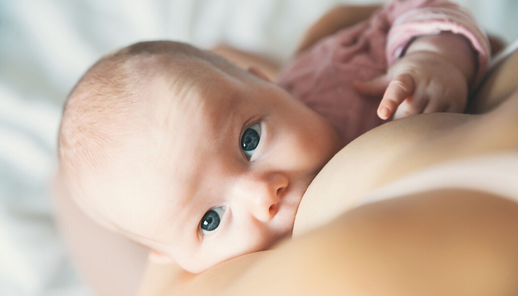 Bare pupp eller litt mat også? Britiske forskere finner at babyer fra tre måneder sover bedre med begge deler. (Foto: Natalia Deriabina / Shutterstock / NTB scanpix) Bare pupp eller litt mat også? Britiske forskere finner at babyer fra tre måneder sover bedre med begge deler. (Foto: Natalia Deriabina / Shutterstock / NTB scanpix)