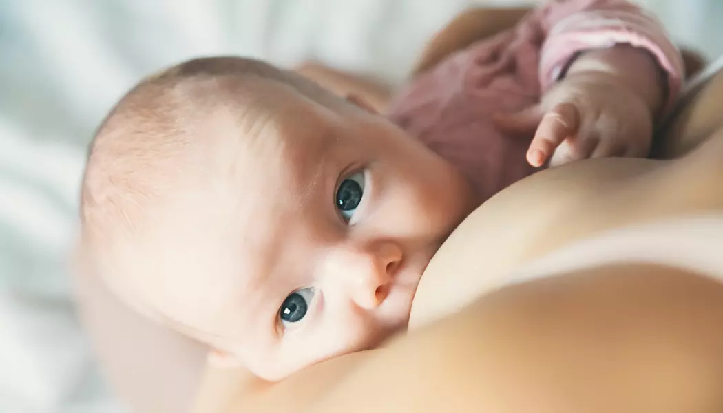 Bare pupp eller litt mat også? Britiske forskere finner at babyer fra tre måneder sover bedre med begge deler. (Foto: Natalia Deriabina / Shutterstock / NTB scanpix)