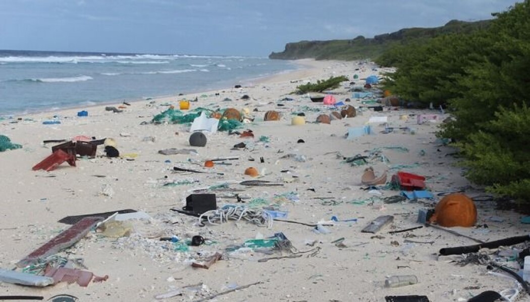 Henderson Island midt i Stillehavet har ingen innbyggere og er et av verdens mest avsidesliggende steder. Sjokkerte australske forskere kunne for kort tid tilbake slå fast at øya har mer plastsøppel på strendene enn det er funnet noe annet sted i verden. Forskerne fant i gjennomsnitt 671 plastbiter per kvadratmeter! Antakelig finnes det nesten 38 millioner biter og gjenstander av plast på den lille øya. Alt må ha blitt fraktet dit over havet. Men hvor kommer denne plasten fra? (Foto: Dr. Jennifer Lavers / Foreign & Commonwealth Office) Henderson Island midt i Stillehavet har ingen innbyggere og er et av verdens mest avsidesliggende steder. Sjokkerte australske forskere kunne for kort tid tilbake slå fast at øya har mer plastsøppel på strendene enn det er funnet noe annet sted i verden. Forskerne fant i gjennomsnitt 671 plastbiter per kvadratmeter! Antakelig finnes det nesten 38 millioner biter og gjenstander av plast på den lille øya. Alt må ha blitt fraktet dit over havet. Men hvor kommer denne plasten fra? (Foto: Dr. Jennifer Lavers / Foreign & Commonwealth Office)