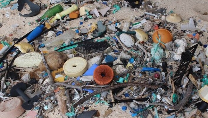 Plast på stranden på Henderson Island i Stillehavet. Plastforurensingen i havet er blitt til det som kalles allmenningens tragedie. En situasjon som oppstår når en fellesressurs ødelegges, fordi alle de som kan ha glede av den handler til sitt eget beste. Overfiske og global oppvarming er to andre eksempler på allmenningens tragedie. (Foto: Dr. Jennifer Lavers / Foreign & Commonwealth Office) Plast på stranden på Henderson Island i Stillehavet. Plastforurensingen i havet er blitt til det som kalles allmenningens tragedie. En situasjon som oppstår når en fellesressurs ødelegges, fordi alle de som kan ha glede av den handler til sitt eget beste. Overfiske og global oppvarming er to andre eksempler på allmenningens tragedie. (Foto: Dr. Jennifer Lavers / Foreign & Commonwealth Office)