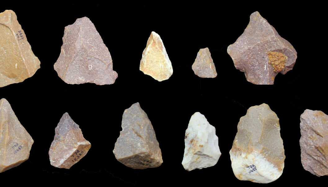 Disse verktøyene har blitt laget med Levallois-teknikken, ifølge en artikkel i Nature. (Bilde: Sharma Centre for Heritage Education, India) Disse verktøyene har blitt laget med Levallois-teknikken, ifølge en artikkel i Nature. (Bilde: Sharma Centre for Heritage Education, India)