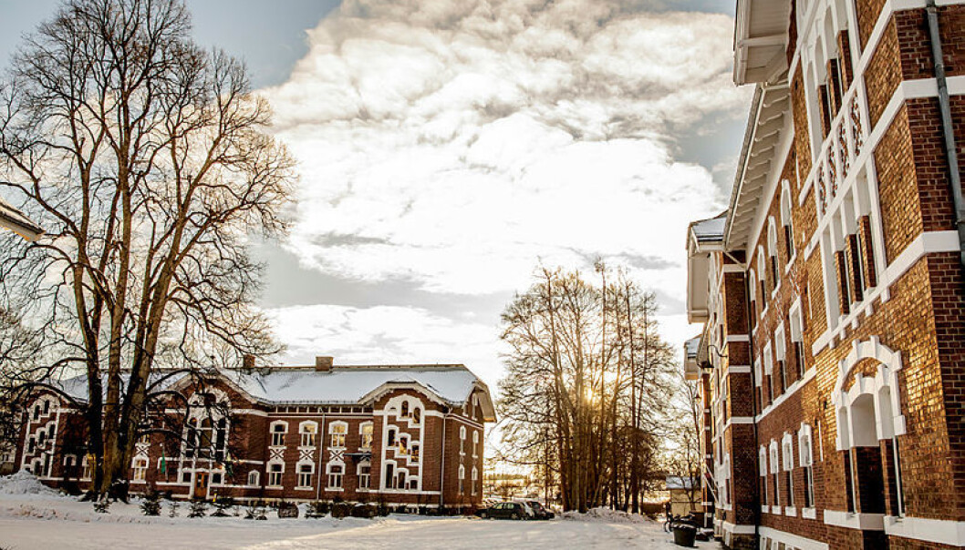 Campus Ås, NMBU, hadde skrivekurs for forskere i januar. Gisle Bjørneby Campus Ås, NMBU, hadde skrivekurs for forskere i januar. Gisle Bjørneby