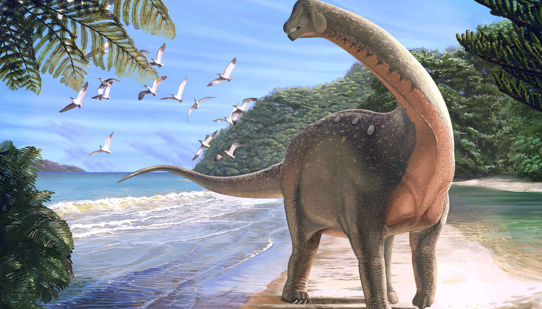 Slik tror forskerne Mansourasaurus shahinae vandret på en kystlinje i det som nå er Sahara for rundt 80 millioner år siden. (Illustrasjon: Andrew McAfee, Carnegie Museum of Natural History) Slik tror forskerne Mansourasaurus shahinae vandret på en kystlinje i det som nå er Sahara for rundt 80 millioner år siden. (Illustrasjon: Andrew McAfee, Carnegie Museum of Natural History)