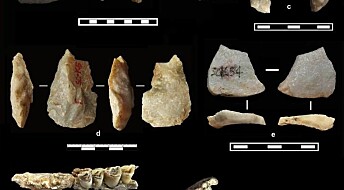 Forskere hevder å ha funnet de første sporene etter tidlige mennesker i Kina