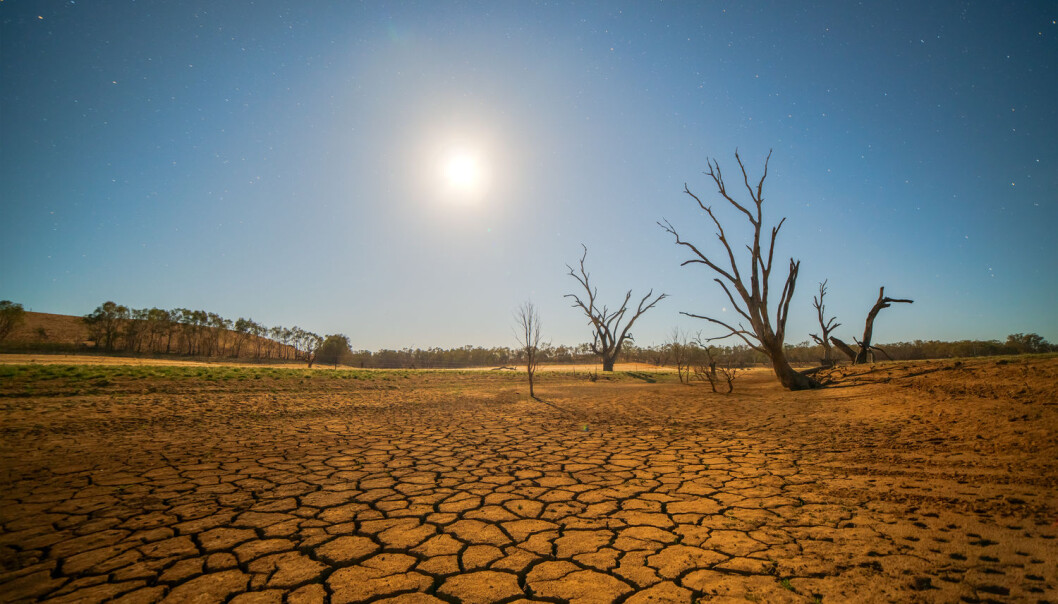 Geoengineering kan være en mulig metode til å forhindre global overopphetning. Men hvis vi ikke blir varig, kan en plutselig stopp være katastrofal for jordens biologisk mangfold. (Foto: idiz / Shutterstock / NTB scanpix) Geoengineering kan være en mulig metode til å forhindre global overopphetning. Men hvis vi ikke blir varig, kan en plutselig stopp være katastrofal for jordens biologisk mangfold. (Foto: idiz / Shutterstock / NTB scanpix)