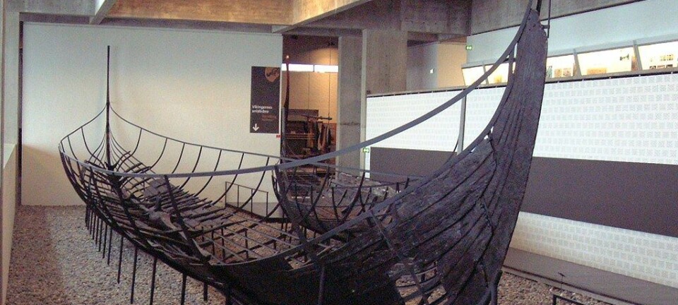 Skuldelev II, et vikingsskip som ble bygget i Dublin rundt 1050. Skipet er på vikingskipmuseet i Roskilde i Danmark.  (Foto: Casiopeia/CC BY-SA 2.0)