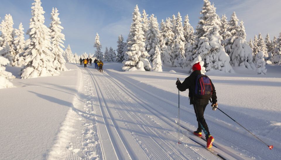 Du bør trene rundt tre ganger i uka for å bli skikkelig god på ski, mener ekspert.  (Illustrasjonsfoto: Shutterstock / NTB Scanpix)