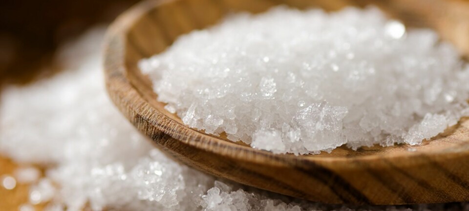 Fleur de sel-salt består av saltkrystaller fremstilt fra havvann.  Krystallene er sprø flak som kan knuses med fingrene og strøs over maten. (Foto: Foodio, Shutterstock, NTB scanpix)