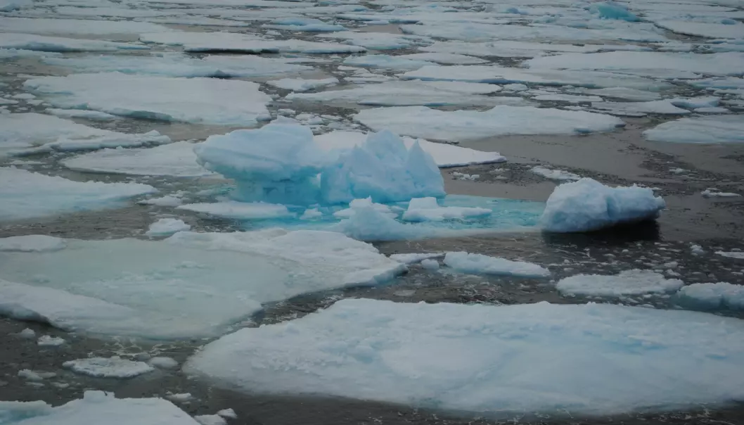 Arktiske botndyr angripne frå fleire kantar