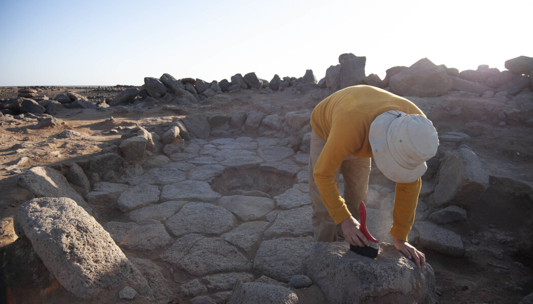 Ved dette gamle ildstedet i Jordan leter arkeologene etter mat. 14 000 år gammel mat. (Foto: Alexis Pantos) Ved dette gamle ildstedet i Jordan leter arkeologene etter mat. 14 000 år gammel mat. (Foto: Alexis Pantos)