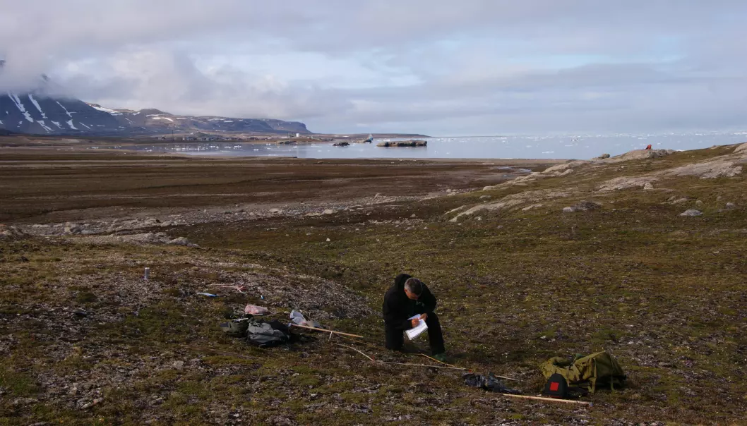 Ny forskning viser at varmere vintre på Svalbard er ikke ensbetydende med et grønnere landskap. (Foto: Trond Johnsen)