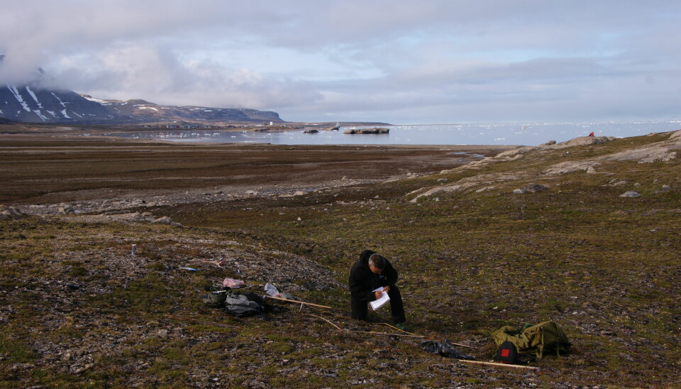 Ny forskning viser at varmere vintre på Svalbard er ikke ensbetydende med et grønnere landskap. (Foto: Trond Johnsen)