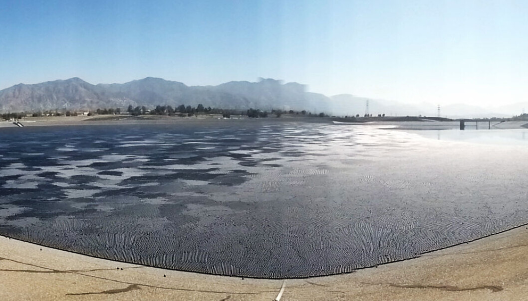Her ligger flere titalls millioner plastballer på vannmagasinet Sylmar i Los Angeles. (Bilde: Sandi Hemmerlein/AvoidingRegret.com) Her ligger flere titalls millioner plastballer på vannmagasinet Sylmar i Los Angeles. (Bilde: Sandi Hemmerlein/AvoidingRegret.com)