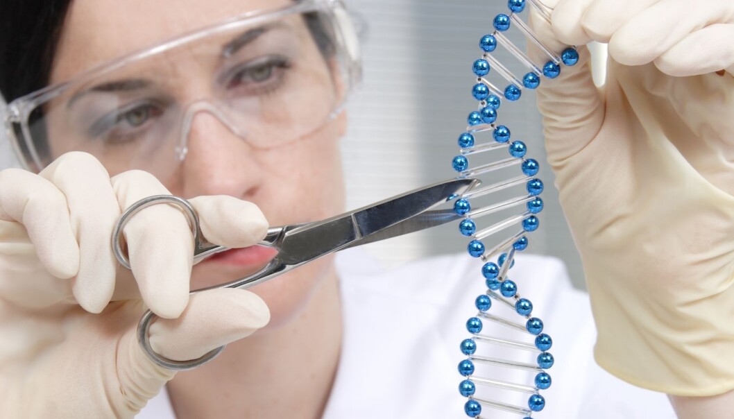 CRISPR skal erobre verden med genterapi, men teknologien har fått et tilbakeslag fordi det viser seg at menneskets immunforsvar har antistoffer mot en del av komponentene i teknologien. (Foto: GeK / Shutterstock / NTB scanpix) CRISPR skal erobre verden med genterapi, men teknologien har fått et tilbakeslag fordi det viser seg at menneskets immunforsvar har antistoffer mot en del av komponentene i teknologien. (Foto: GeK / Shutterstock / NTB scanpix)