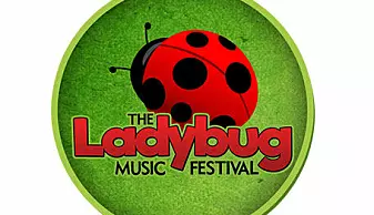 Illustrasjonen er hentet fra musikkfestivalen The Ladybug i USA - den er sørgelig nok ikke for insekter...