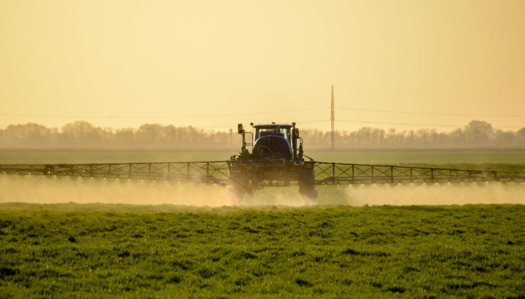 Plantevernmidlet glyfosat er svært mye brukt i landbruket. Kan det utgjøre en helsefare for folk som jobber med jorda? (Illurtrasjonsfoto: Leonid Eremeychuk / Shutterstock / NTB scanpix) Plantevernmidlet glyfosat er svært mye brukt i landbruket. Kan det utgjøre en helsefare for folk som jobber med jorda? (Illurtrasjonsfoto: Leonid Eremeychuk / Shutterstock / NTB scanpix)