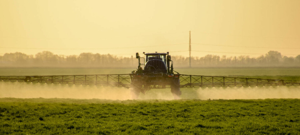 Plantevernmidlet glyfosat er svært mye brukt i landbruket. Kan det utgjøre en helsefare for folk som jobber med jorda?  (Illurtrasjonsfoto: Leonid Eremeychuk / Shutterstock / NTB scanpix)
