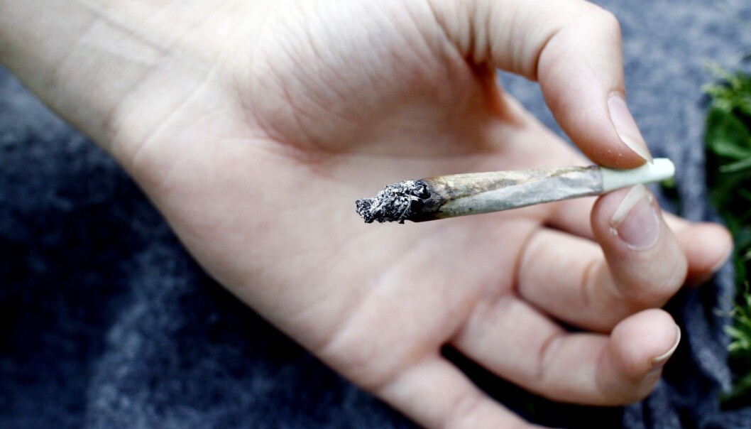 Hjerneforsker Svend Davanger ved Universitetet i Oslo kritiserer ungdomspartier for å foreslå legalisering av cannabis. Illustrasjonsfoto: (Foto: Sara Johannessen / NTB scanpix) Hjerneforsker Svend Davanger ved Universitetet i Oslo kritiserer ungdomspartier for å foreslå legalisering av cannabis. Illustrasjonsfoto: (Foto: Sara Johannessen / NTB scanpix)