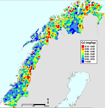 Kartet fra Nord-Norge viser hvordan kadmium (Cd) fordeler seg i jorda. Slike kart kan forskerne framstille for alle grunnstoffene som blir analysert. (Illustrasjon: NGU) Kartet fra Nord-Norge viser hvordan kadmium (Cd) fordeler seg i jorda. Slike kart kan forskerne framstille for alle grunnstoffene som blir analysert. (Illustrasjon: NGU)