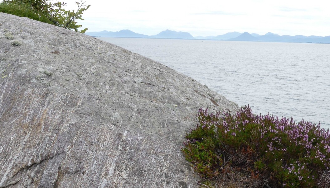 Granat-kyanitt-gneis fra Fjørtoft, med utsikt (Foto Ane K. Engvik) Granat-kyanitt-gneis fra Fjørtoft, med utsikt (Foto Ane K. Engvik)