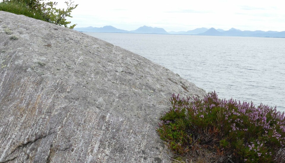 Granat-kyanitt-gneis fra Fjørtoft, med utsikt (Foto Ane K. Engvik)