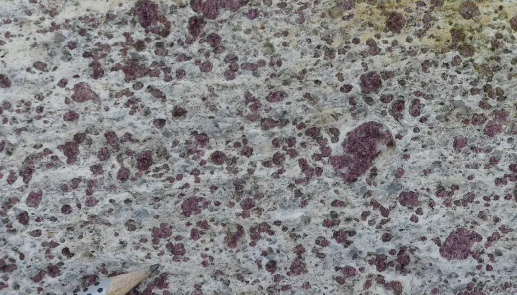 Vakker er den også – bergarten granat-gneis på Sunnmøre hvor forskerne har påvist mikrodiamanter. (Foto Ane K. Engvik)